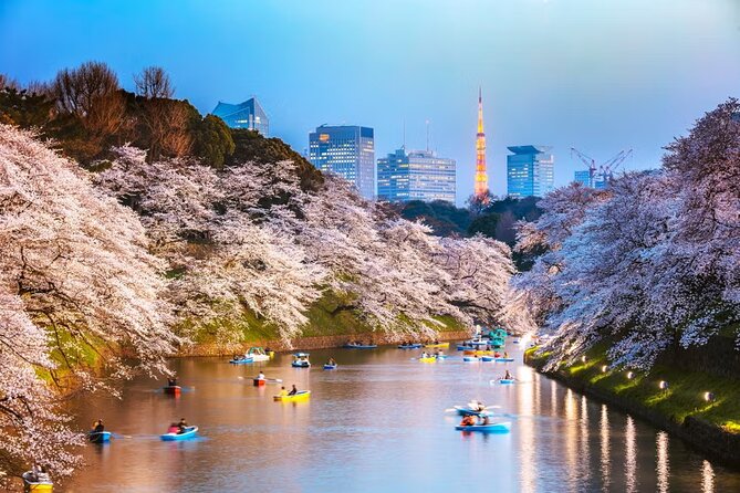 Tokyo Private Driving Tour by Car/Van With English Chauffeur - Customer Reviews and Feedback