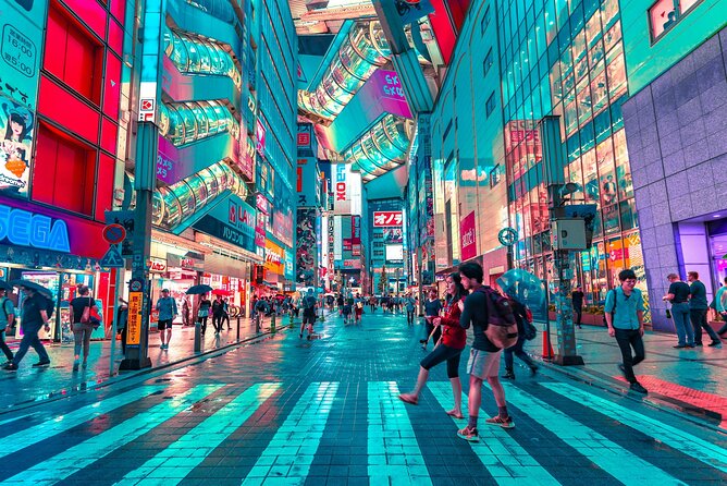 Tokyo Private Driving Tour by Car/Van With English Chauffeur - Explore Tokyos Iconic Landmarks