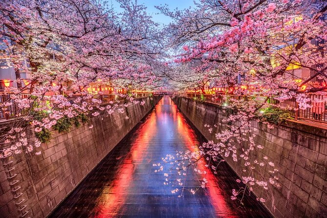 Tokyo Private Driving Tour by Car/Van With English Chauffeur - Personalized Chauffeur-Driven Experience