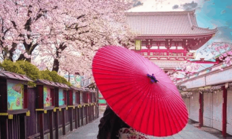 Tokyo: Private Guided Tour With Hotel Pickup and Drop-Off - Tour Experience