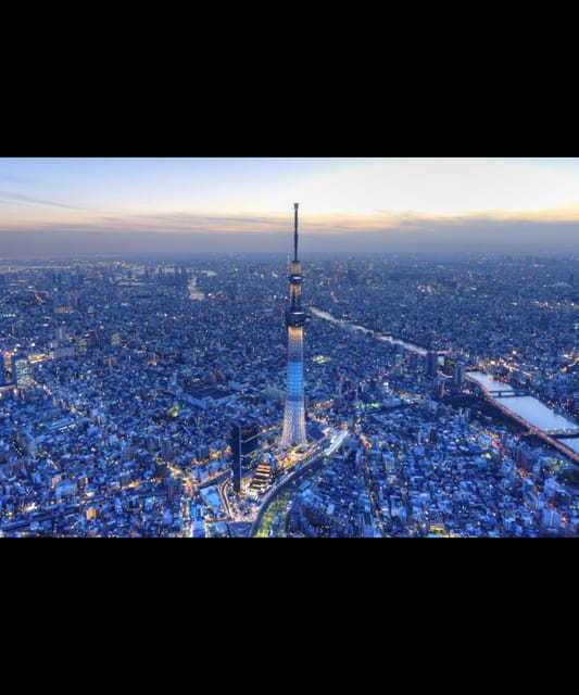 Tokyo: Private Guided Tour With Hotel Pickup and Drop-Off - Key Points