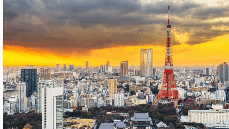 Tokyo: Private Instagramable Customised Tokyo City Day Tour - Tour Duration
