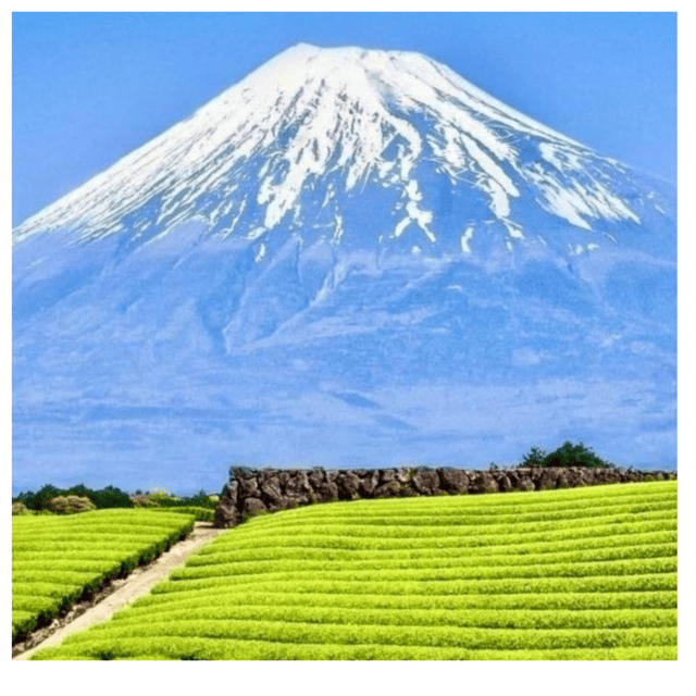 Tokyo: Private Instagramable Day Trip Mt Fuji & Five Lakes - Luxury Transportation Options