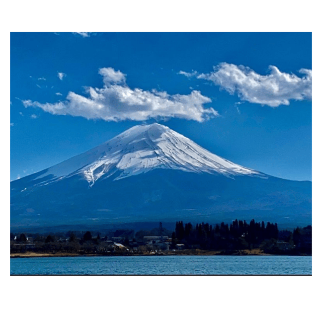 Tokyo: Private Instagramable Day Trip Mt Fuji & Five Lakes - Accessibility and Restrictions