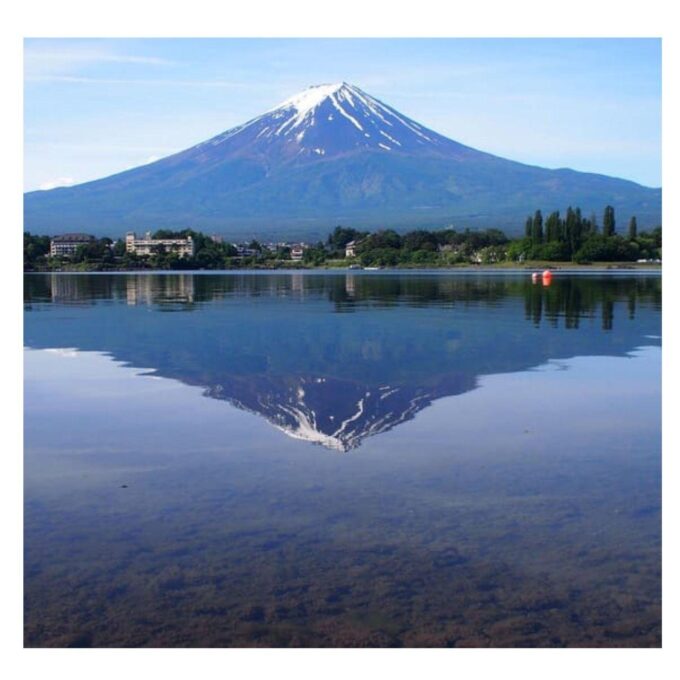 Tokyo: Private Instagramable Day Trip Mt Fuji & Five Lakes - Booking and Group Size Considerations