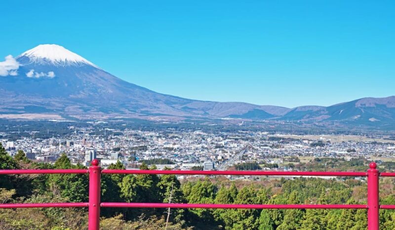 Tokyo: Private Luxury Car Transfer To/From Kobe. (One Way) - Experienced and Courteous Drivers