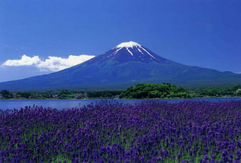 Tokyo : Private Luxury Tour To Mt Fuji With English Speaker - An In-Depth Look at the Itinerary