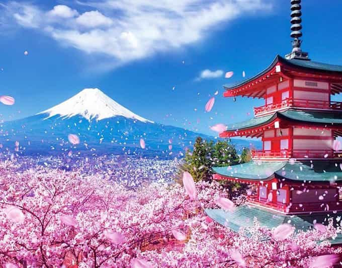 Tokyo: Private Mount Fuji and Hakone Day Trip With Guide - Itinerary Highlights