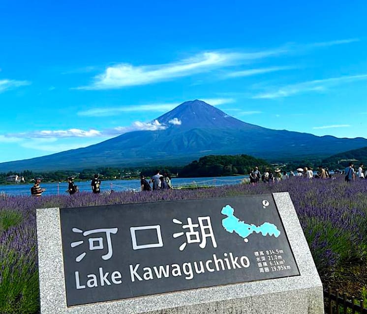 Tokyo: Private Mount Fuji and Hakone Day Trip With Guide - Experience and Guide