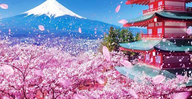 Tokyo: Private Mount Fuji and Hakone Day Trip With Guide - Inclusions and Exclusions