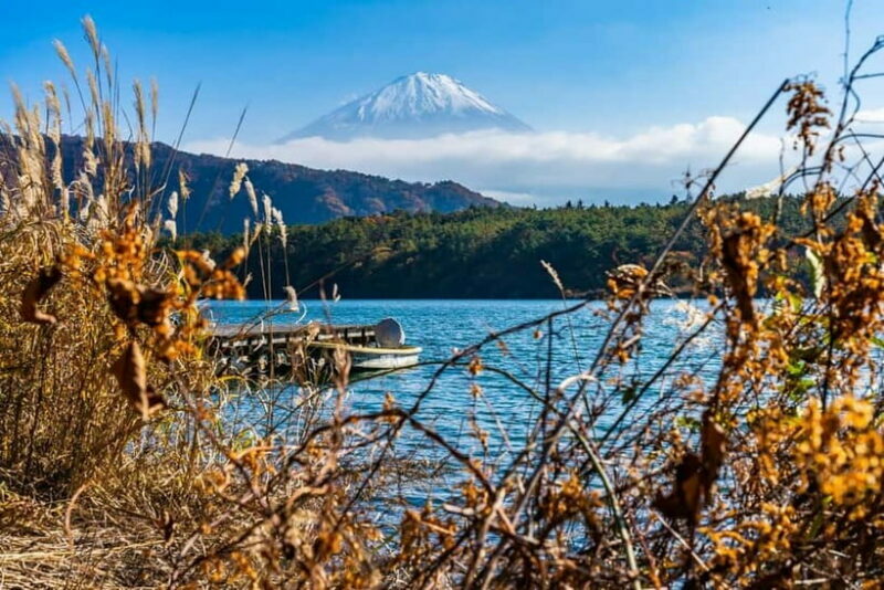 Tokyo: Private Mount Fuji Day Trip with Private Guide - An In-Depth Look at This Mount Fuji Experience