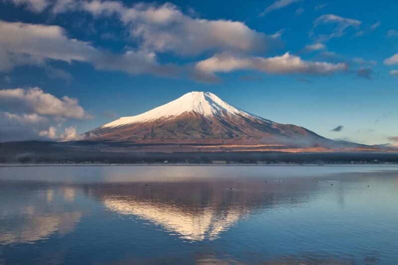 Tokyo: Private Mount Fuji Tour With 5 Lakes - English-Driver - About the Private Mount Fuji Tour