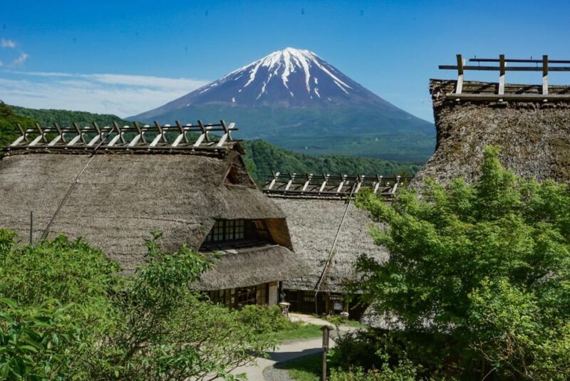 Tokyo: Private Mount Fuji Tour With Pickup and Drop-Off - Taking in Oshino Hakkais History