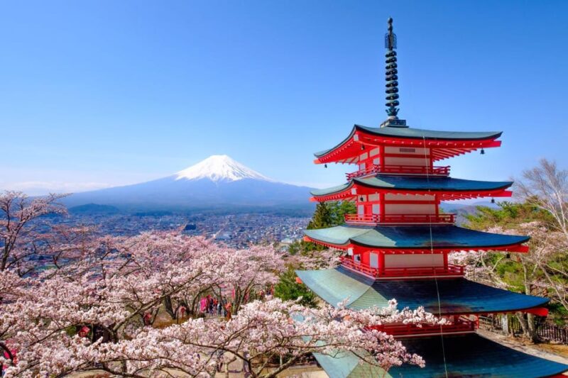 Tokyo: Private Mt.Fuji Day Trip With English-Speaking Driver - Pickup and Transportation Arrangements