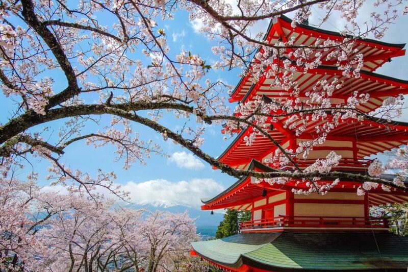 Tokyo: Private Mt.Fuji Day Trip With English-Speaking Driver - Chureito Pagoda: Scenic Photography Spot
