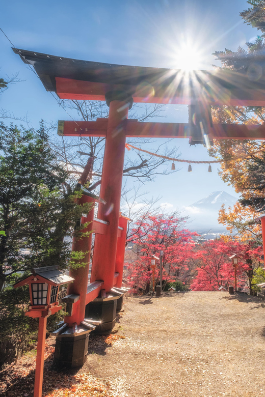 Tokyo: Private Mt.Fuji Day Trip With English-Speaking Driver - Kitaguchi Hongu Fuji Sengen Shrine: Cultural Exploration