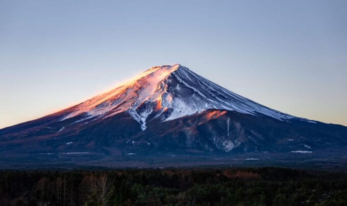Tokyo: Private Mt.Fuji Day Trip With English-Speaking Driver - Customer Reviews and Feedback