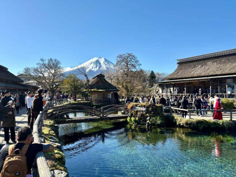Tokyo: Private Mt. Fuji & Hakone Day Tour by Luxury Car - Exploring Hakone: Art, Nature, and Hot Springs