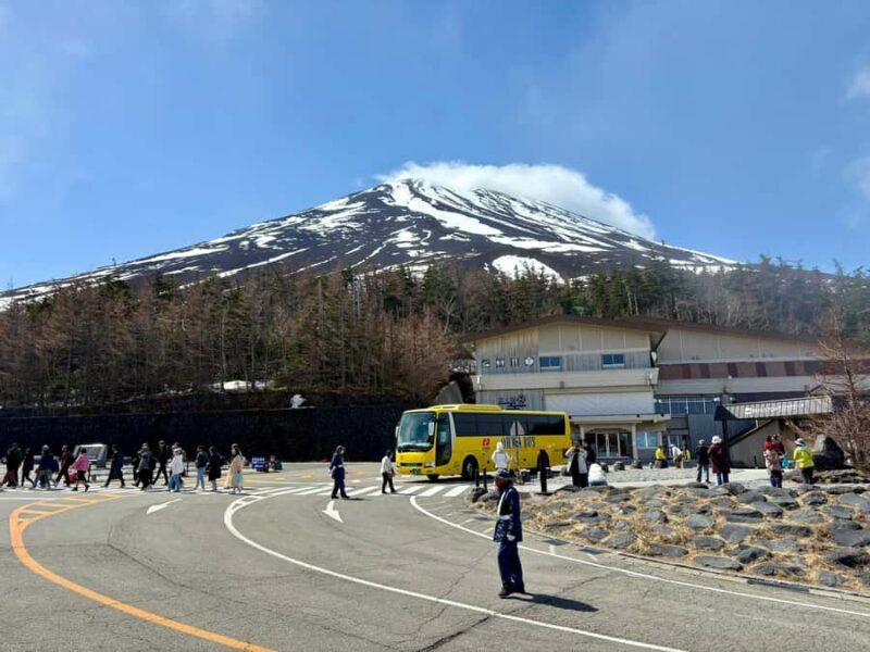 Tokyo: Private Mt. Fuji & Hakone Day Tour by Luxury Car - The Logistic and Practical Aspects