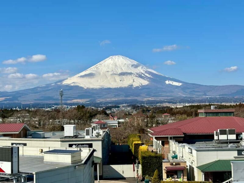 Tokyo: Private Mt. Fuji & Hakone Day Tour by Luxury Car - Who Should Consider This Tour?