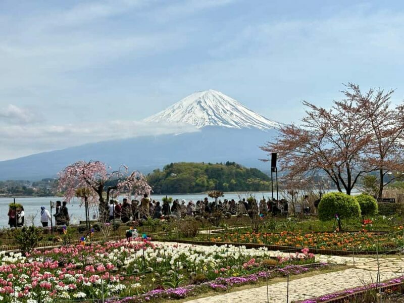 Tokyo: Private Mt. Fuji & Hakone Day Tour by Luxury Car - Final Thoughts: Who Will Love This Tour?