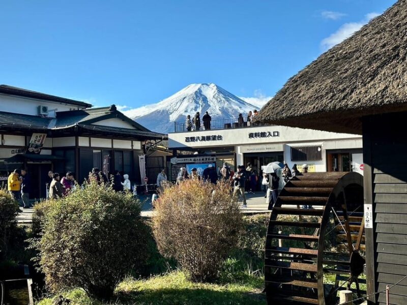 Tokyo: Private Mt. Fuji, Hakone, Lake Cruise & Outlet Tour - Key Points