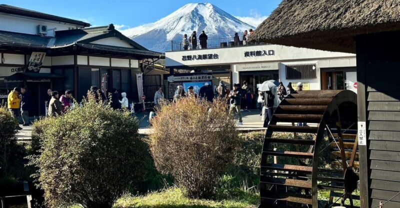 Tokyo: Private Mt. Fuji, Hakone, Lake Cruise & Outlet Tour - Transportation and Accessibility
