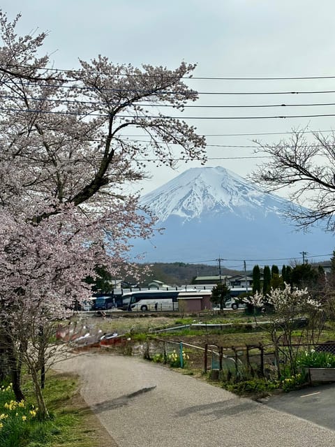 Tokyo: Private Mt. Fuji, Hakone, Lake Cruise & Outlet Tour - Experience and Scenic Highlights
