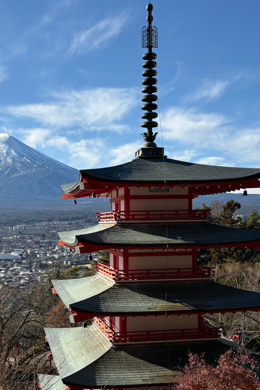 Tokyo: Private Mt. Fuji Scenic & Premium Outlets Tour - Gotemba Premium Outlets