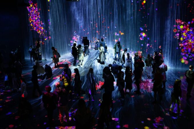 Tokyo: Private Night Tour With English-Speaking Driver - Booking and Availability