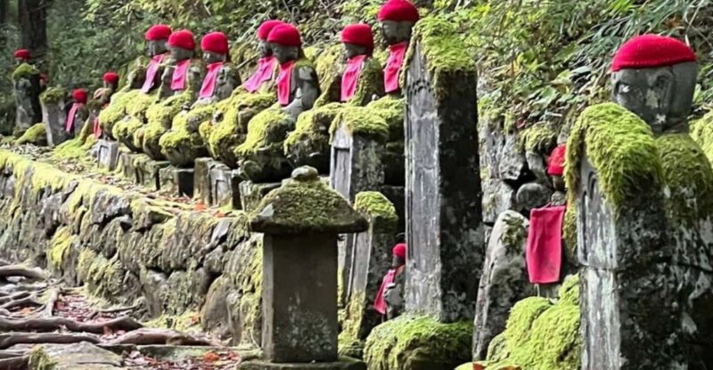 Tokyo: Private Nikko Sightseeing Tour In Luxury Land Cruiser - Exploring Toshogu Shrines Rich History