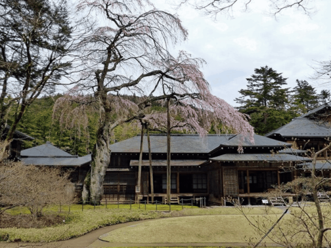 Tokyo: Private Nikko Sightseeing Tour In Luxury Land Cruiser - Panoramic Views From Akechidaira Observation Deck