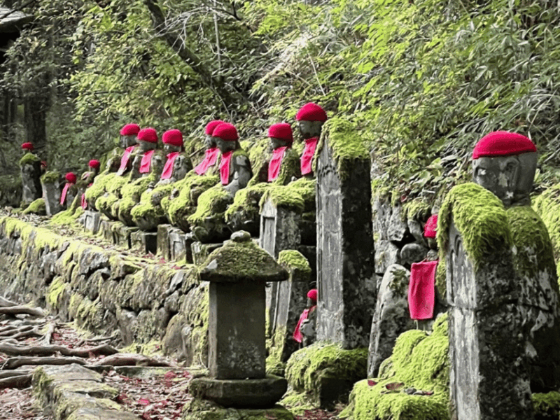 Tokyo: Private Nikko Sightseeing Tour In Luxury Land Cruiser - Destinations Explored