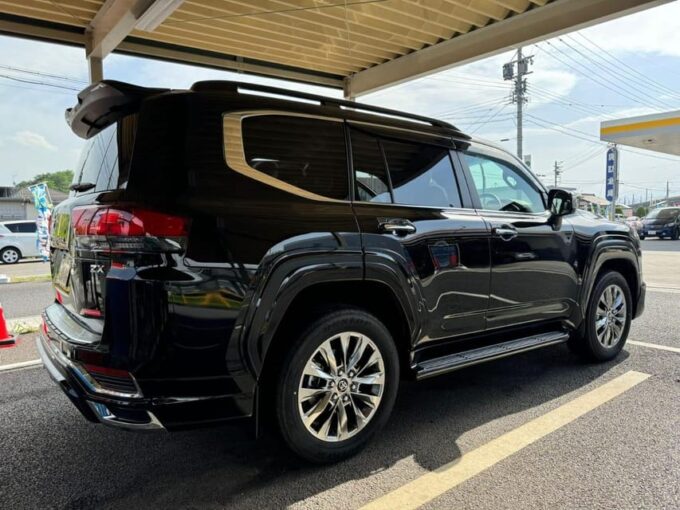 Tokyo: Private Nikko Sightseeing Tour In Luxury Land Cruiser - Nikko National Park Adventure
