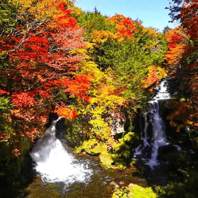 Tokyo: Private Nikko World Heritage Instagramable Day Tour - Customer Reviews and Experiences