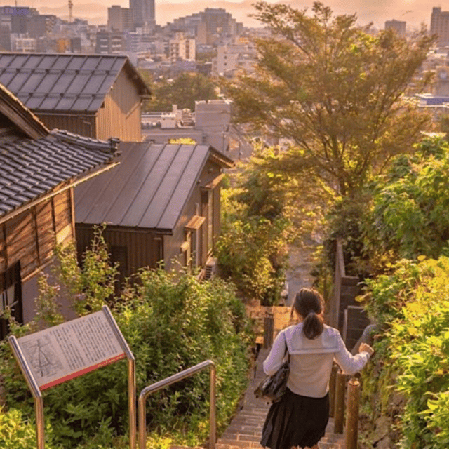 Tokyo: Private Nikko World Heritage Instagramable Day Tour - The Seamless and Personalized Experience