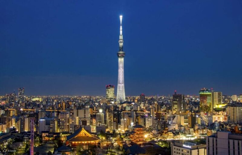 Tokyo Private Sightseeing Customized Day Tour by Car and Van - Highlights