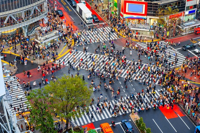 Tokyo Private Sightseeing Tour With English Speaking Chauffeur - Key Points