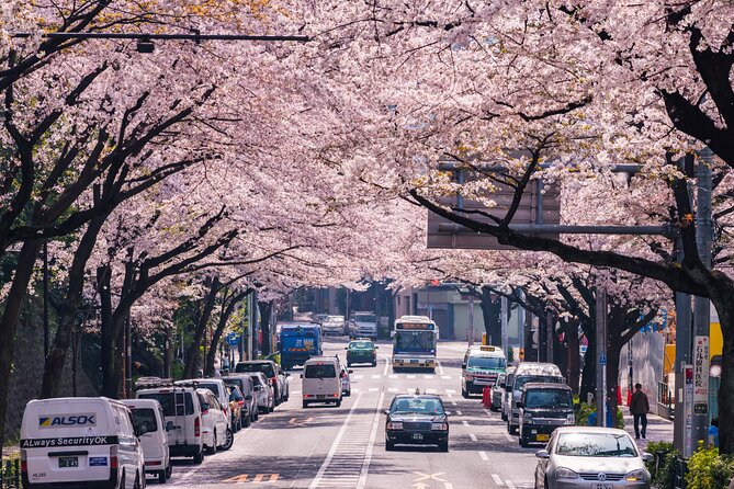 Tokyo Private Sightseeing Tour With English Speaking Chauffeur - Pricing and Offers