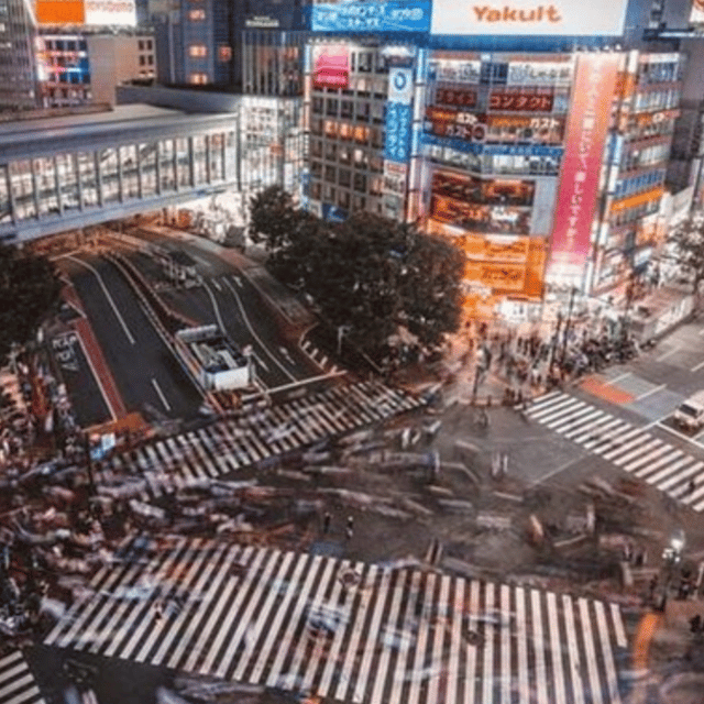 Tokyo: Private Tokyo City Day Tour Low Price Guaranteed - Itinerary and Attractions