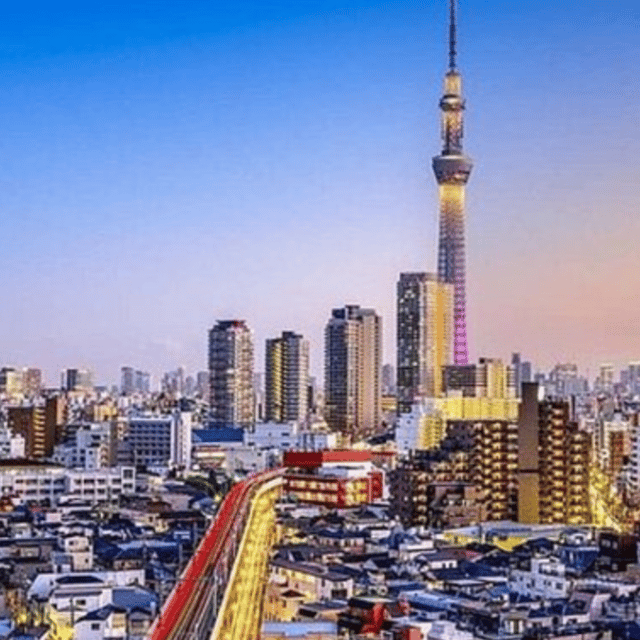 Tokyo: Private Tokyo City Day Tour Low Price Guaranteed - Transportation and Accessibility