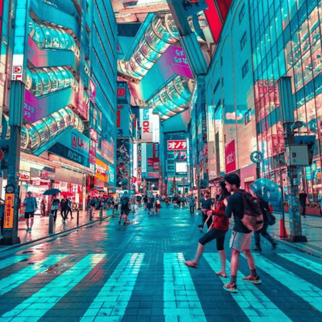 Tokyo: Private Tokyo City Day Tour Low Price Guaranteed - Important Information and Guidelines
