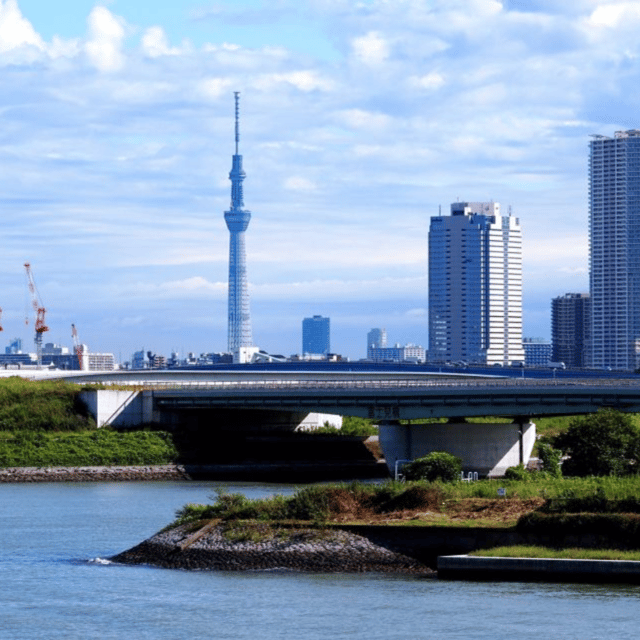 Tokyo: Private Tokyo City Day Tour Low Price Guaranteed - Customizable Itineraries