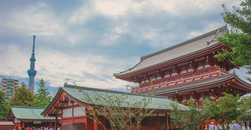 Tokyo Private Tour by Car With English Speaking Chauffeur - Cultural Experience