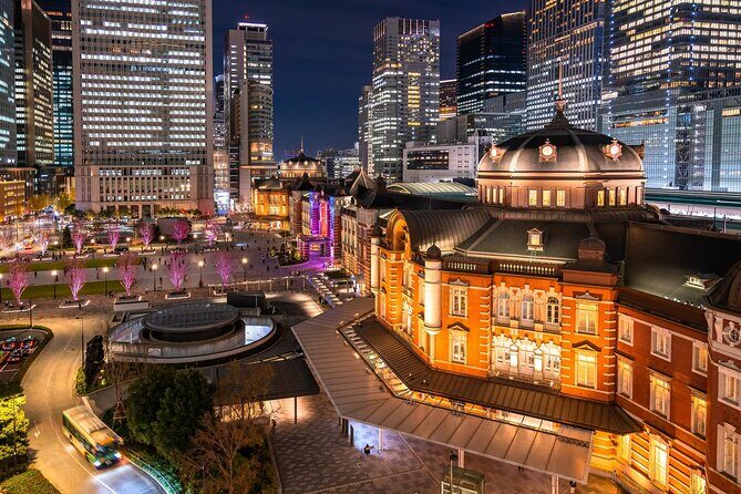 Tokyo Private Tour by Car with English-Speaking Driver (Premium) - Key Points