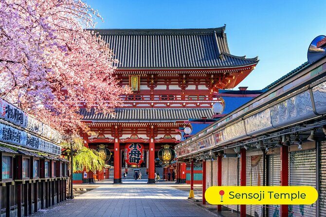 Tokyo Private Tour by Car with English-Speaking Driver (Premium) - The Experience from a Traveler’s Perspective