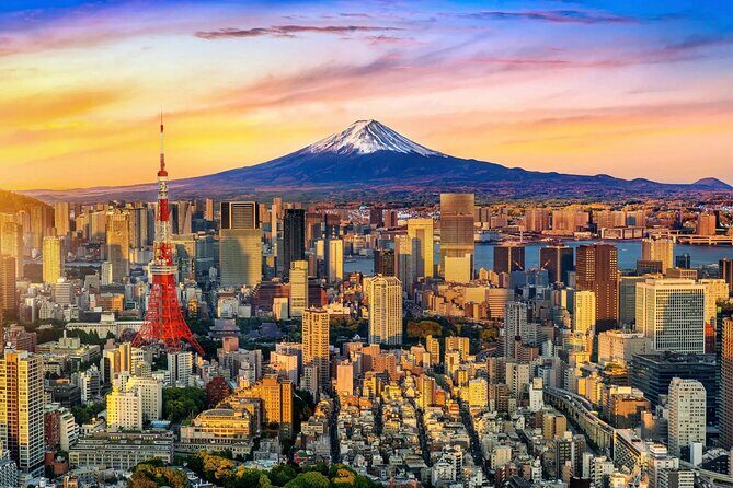 Tokyo Private Tour by Car with English-Speaking Driver (Premium) - The Sum Up
