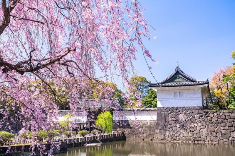 Tokyo: Private Tour of the Imperial Palace East Gardens - Detailed Itinerary