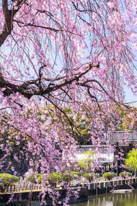 Tokyo: Private Tour of the Imperial Palace East Gardens - Important Considerations