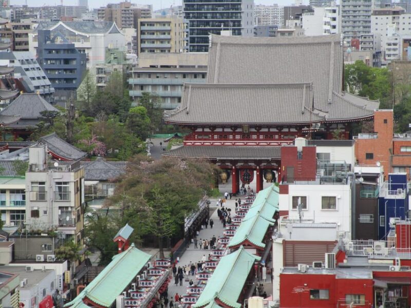 Tokyo Private Tour To-and-From Tokyo, Yokohama up to 12 - Availability and Participant Selection